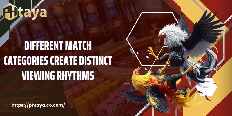 Different match categories create distinct viewing rhythms