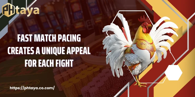 Fast match pacing creates a unique appeal for each fight