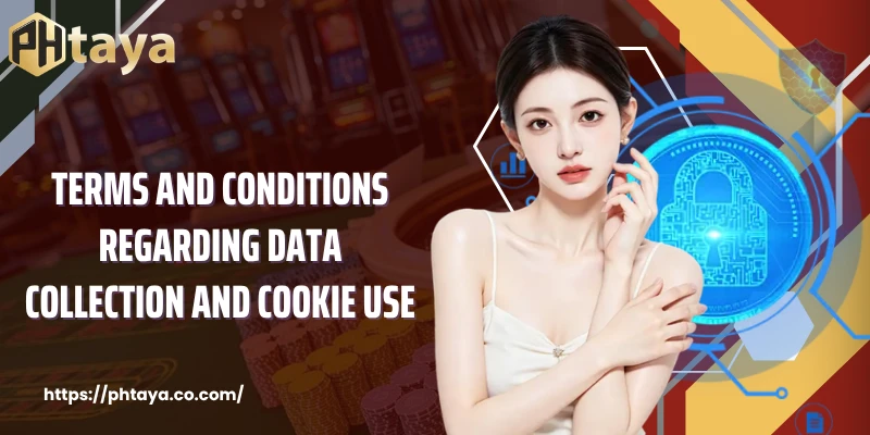 Terms and conditions regarding data collection and cookie use
