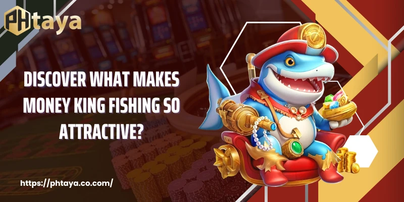 Discover what makes Money King Fishing so attractive?