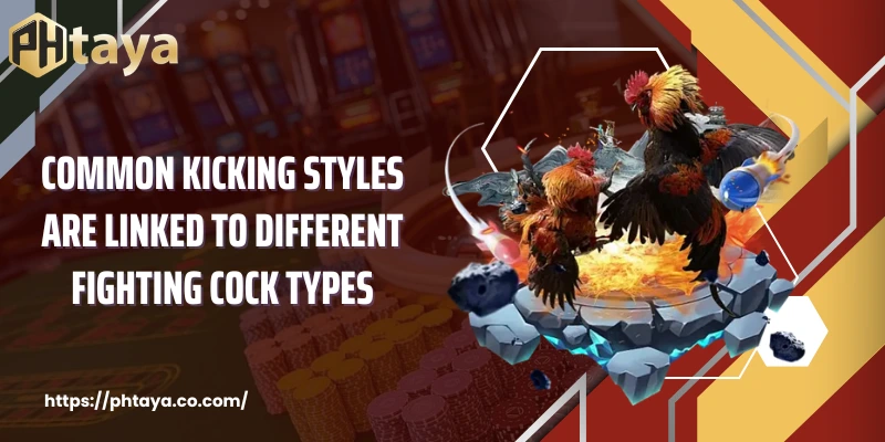 Common kicking styles are linked to different fighting cock types